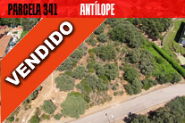 Parcela 341 Parcela 341 | Antílope
