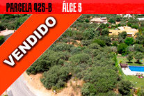 Parcela 425-B Parcela 425-B | C/Alce 5